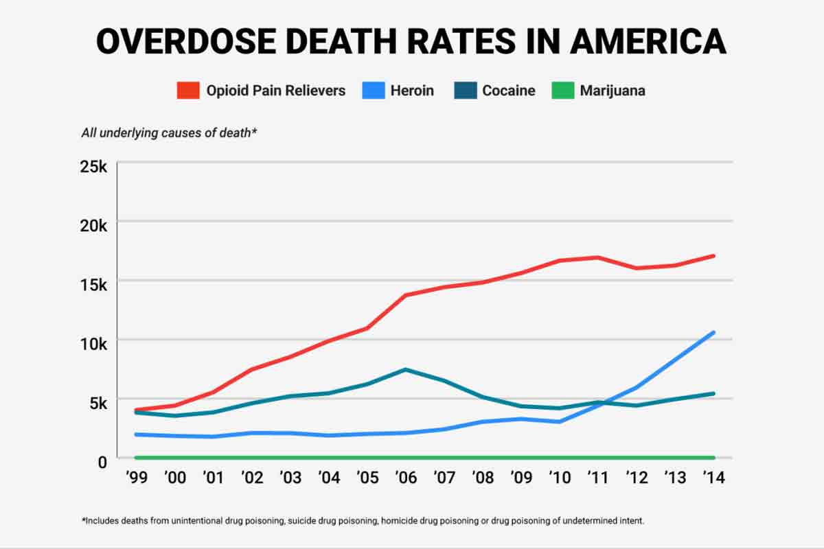 overdose-death-rates-america