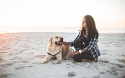 Benefits of Having Your Pet with You While in Treatment