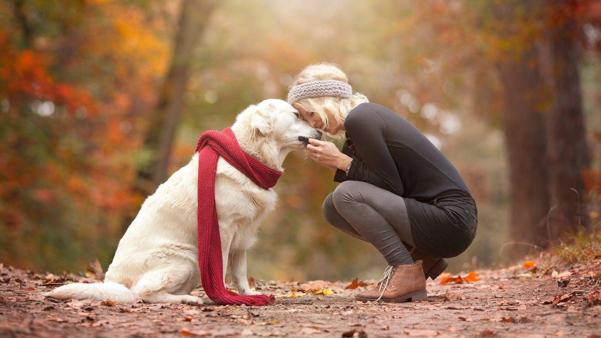 Pet Therapy in Addiction Recovery: How Animals Can Heal